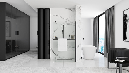 Ścianka Walk In Aero Black Easy Clean Z Wieszakiem Evo